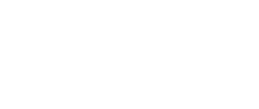 Synergy in Action Network logo