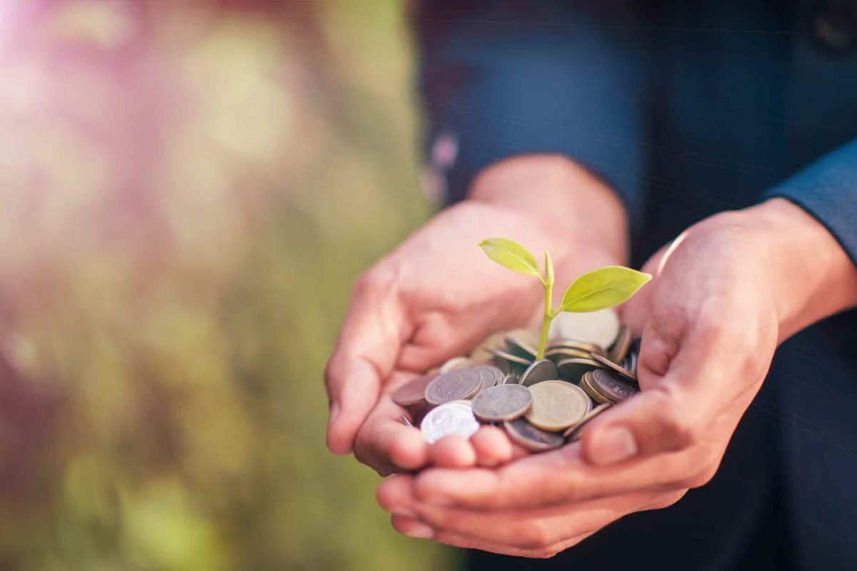 Hands holding coins with a seedling growing from them