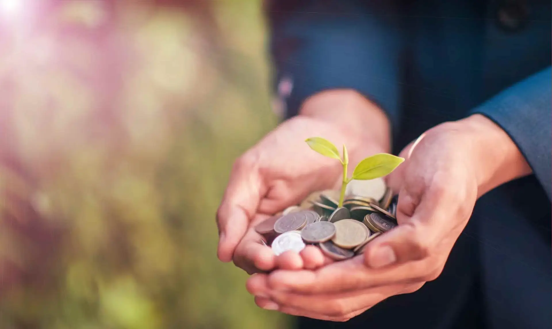 Hands holding coins with a seedling